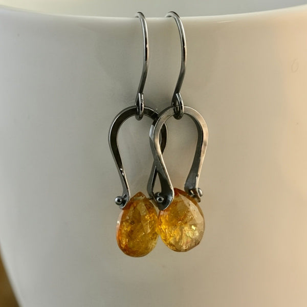 Golden Teardrop Dangle Earrings